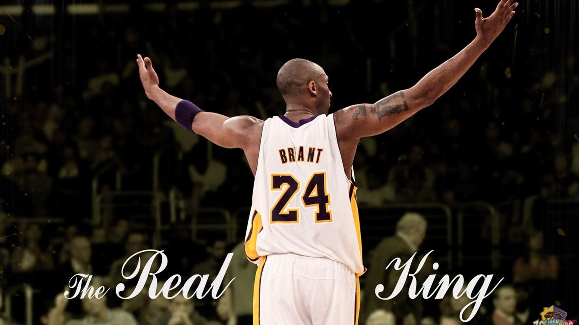 海港主场观众人数罕见超越申花157人!,上海海港主场在哪