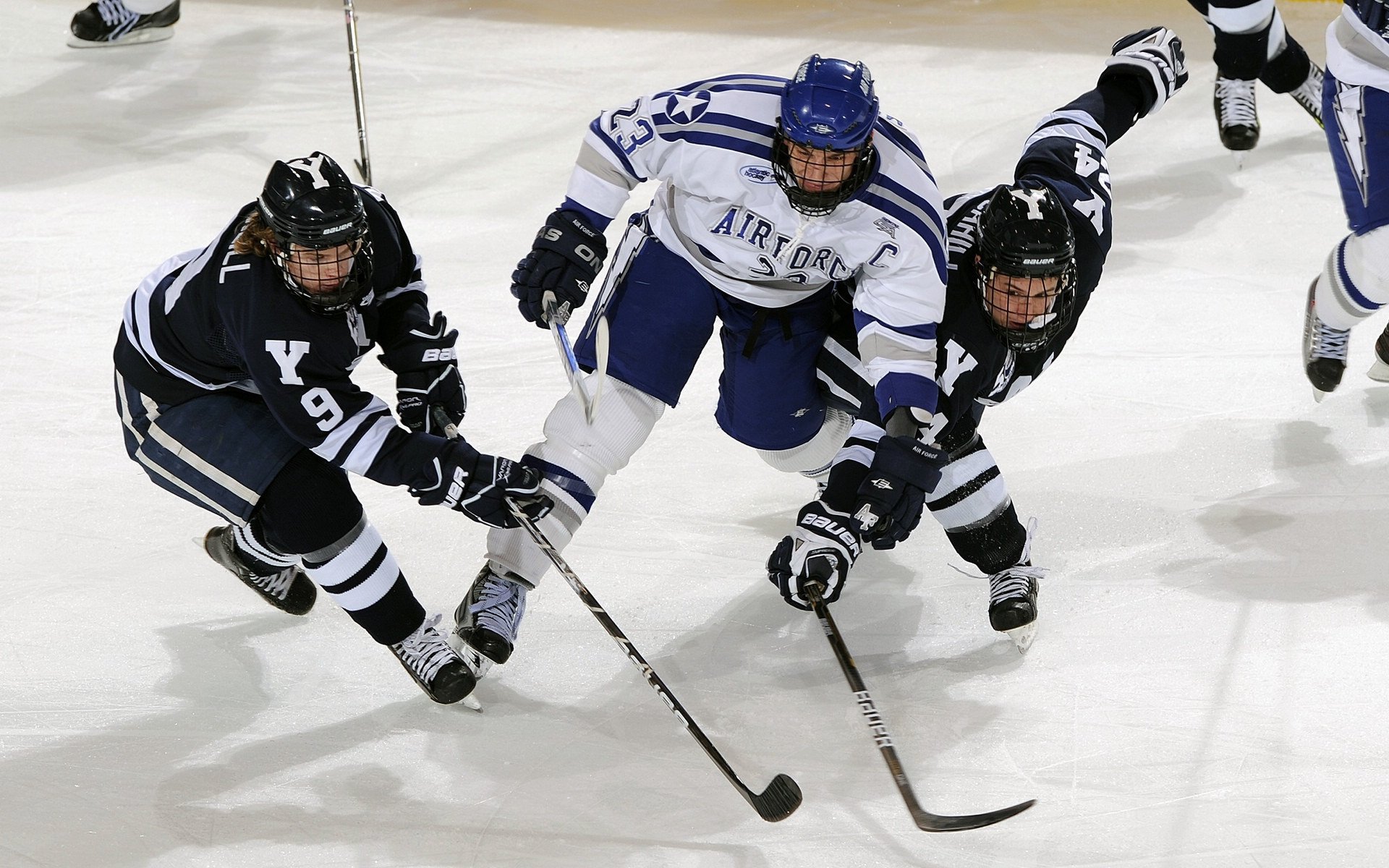 乔·莫伊:凭借强大的力量和技巧,成为全黑队前锋线的关键人物
